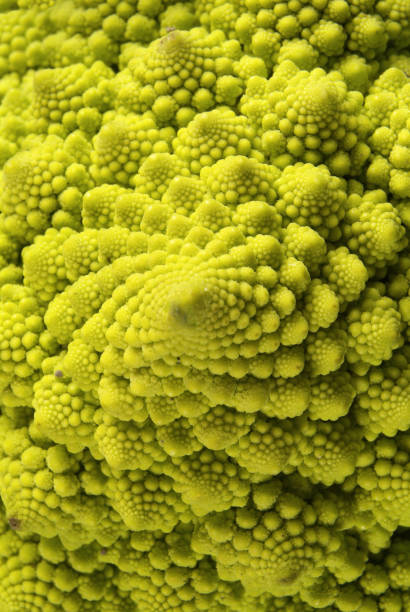 istock Roman broccoli isolated on black background 1151230418