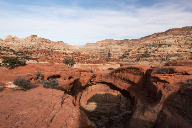 Cassidy Arch - Capital Reef National Park, Utah