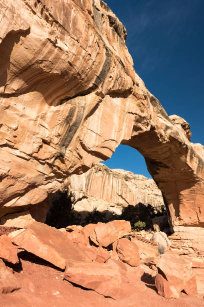 istock Hickman Bridge - Capital Reef National Park, Utah 1151231972