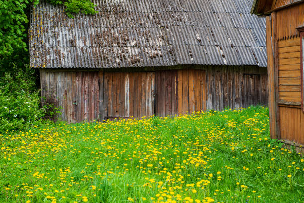 istock old wooden plank building structure in countryside 1151233579