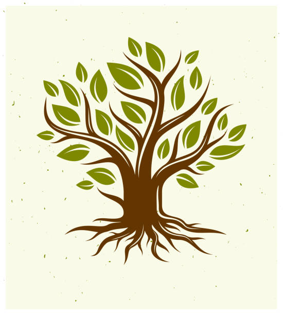 illustrazioni stock, clip art, cartoni animati e icone di tendenza di bella icona di disegno stile classico vettore albero, silhouette perfetta. - origins oak tree growth plant