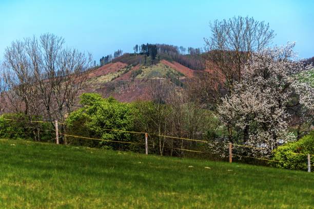 Spring landscape with hill and damaged forest.