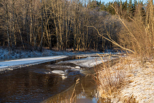 istock scenic river view landscape of forest rocky stream with trees on the shores 1151237270