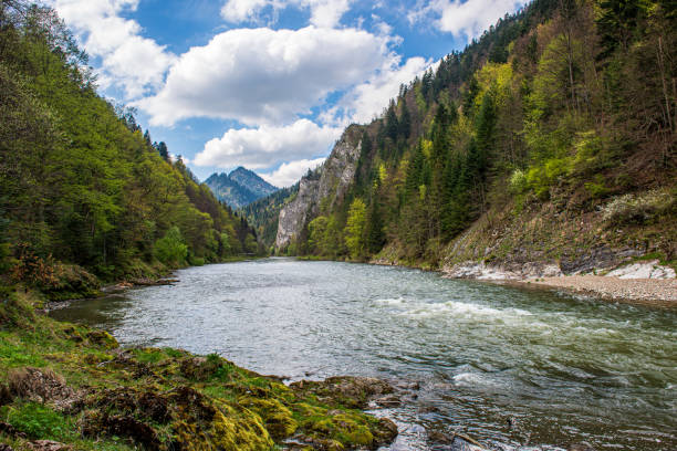 istock slovakia Tatra mountain tops in misty weather 1151237658