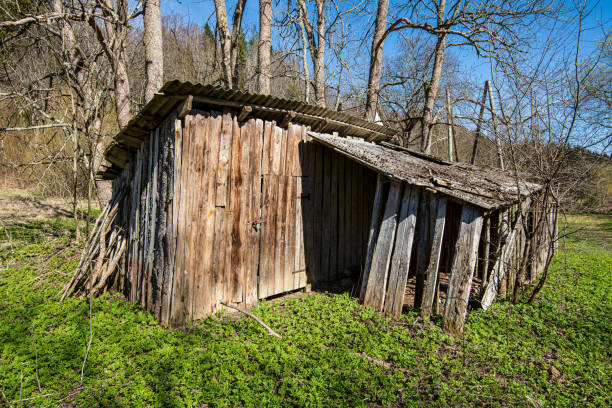 istock old wooden plank building structure in countryside 1151237905