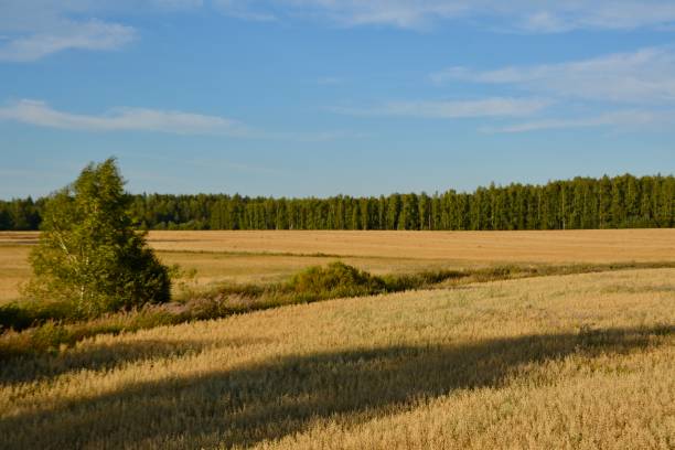 istock The Russian landscape 1151239535