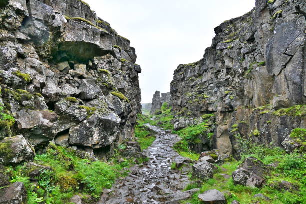 istock Continental rifting in Thingvellir National Park in Iceland 1151241015