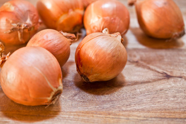 istock Fresh organic onions heap closeup on rustic wooden table. 1151241828