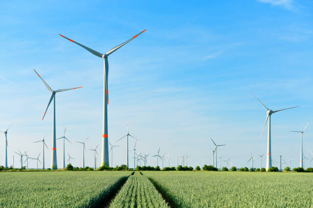 istock renewable energies - power generation with wind turbines in a wind farm 1151250525