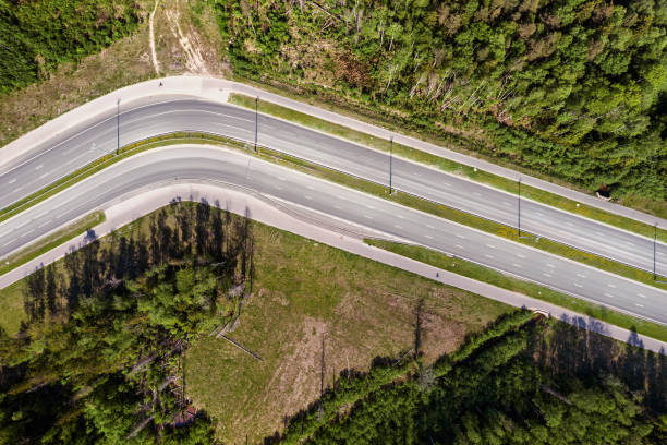 istock Highway road trough the forest turn aerial high angle view 1151251045
