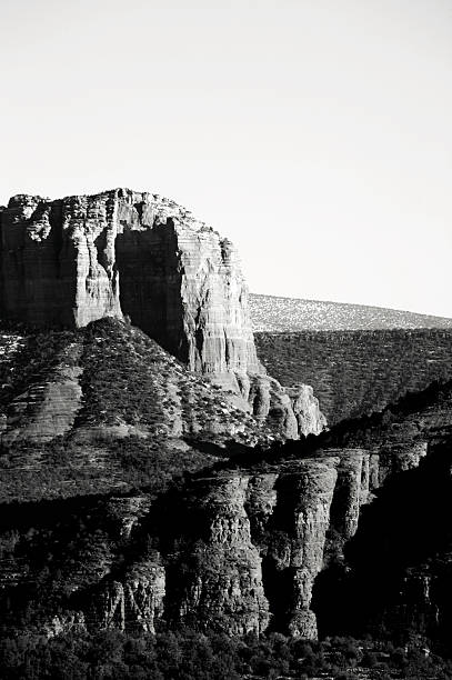 istock Arizona desert life 115125117