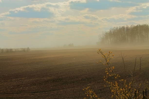 burza pyłowa na polu. na polu burzy piaskowej. silny wiatr napędza piasek. pochowany w piaskownicy. silny wiatr wieje huragan - storm wheat storm cloud rain zdjęcia i obrazy z banku zdjęć