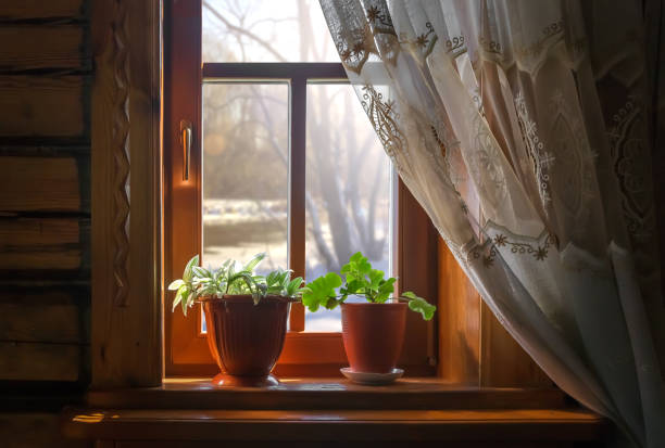 vue de la fenêtre dans un magnifique paysage hivernal. russie - flower snow winter close up photos et images de collection