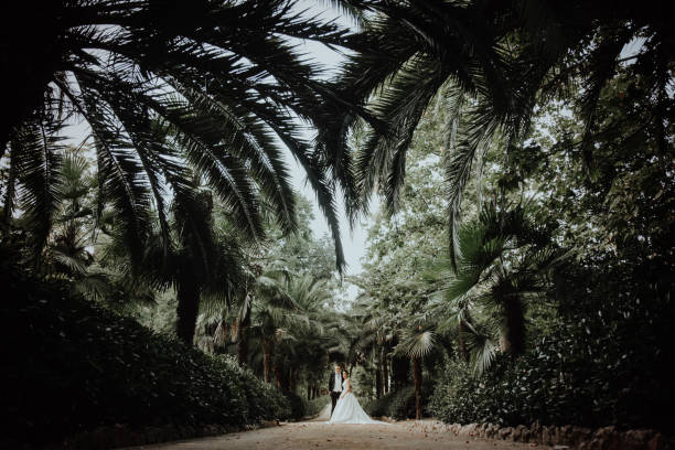 istock Bride and groom hugging in a palm grove 1151255303