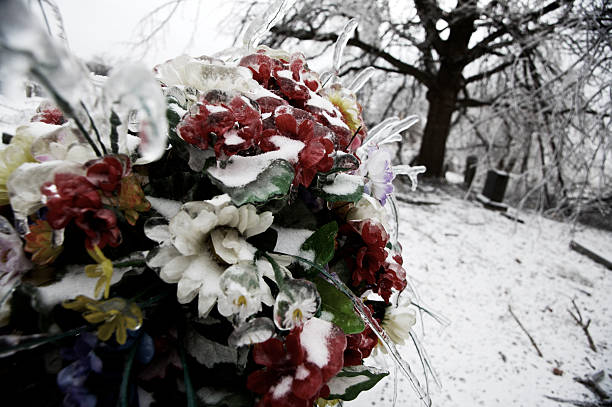 istock Missouri winter ice storm 115125984