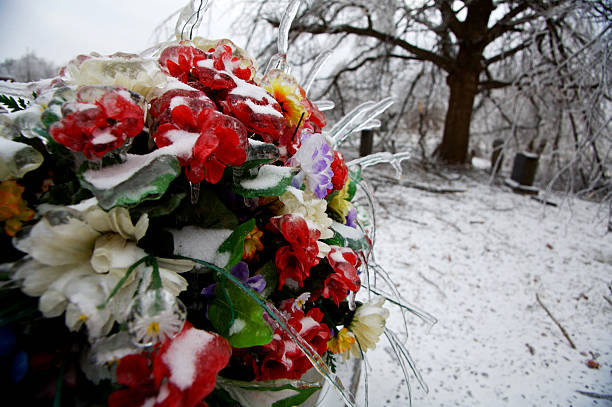 istock Missouri winter ice storm 115125986