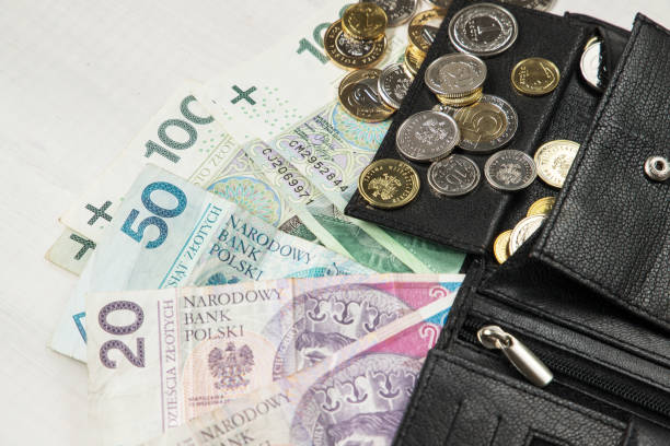 istock leather wallet with Polish money. 1151263335