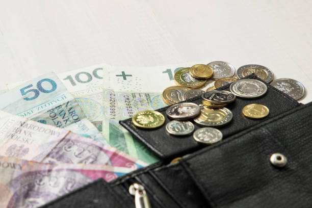 istock leather wallet with Polish money. 1151263355