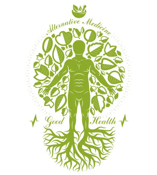 Vector illustration of Vector graphic illustration of strong male depicted as continuation of tree and composed with mortar and pestle. Phytotherapy metaphor, healthy lifestyle concept.