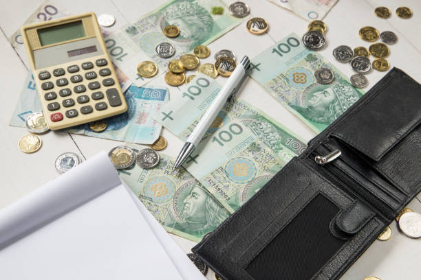 istock leather wallet with Polish money. 1151263989