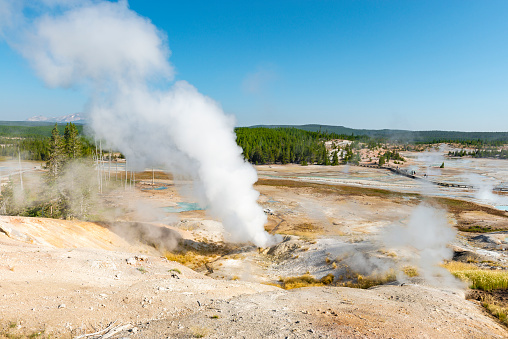 Landscape of the most active part of Yellowstone national park with the Norris Geyser Basin where numerous geysers and fumarole show the volcanic activity of the area, Wyoming, USA.