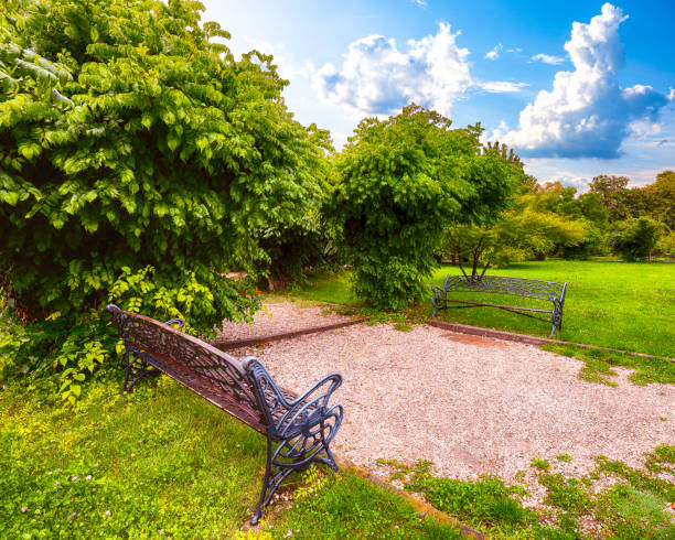 Benches in Public Garden Herastrau (King Mihai I of Romania Park). Fantastic sunny day in green summer park. Bucharest, Romania, Europe