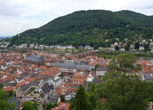 istock Panoramic view of Heidelberg 1151272334