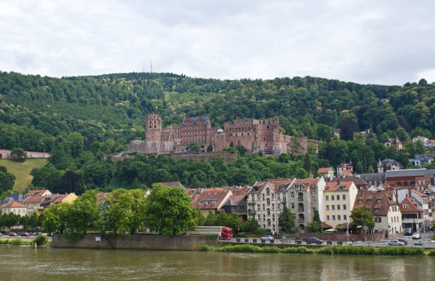 istock Panoramic view of Heidelberg 1151272518
