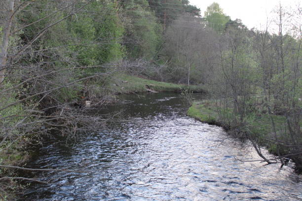 istock river in the woods in the spring 1151272582