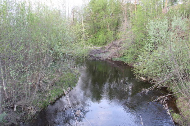 istock river in the woods in the spring 1151272588