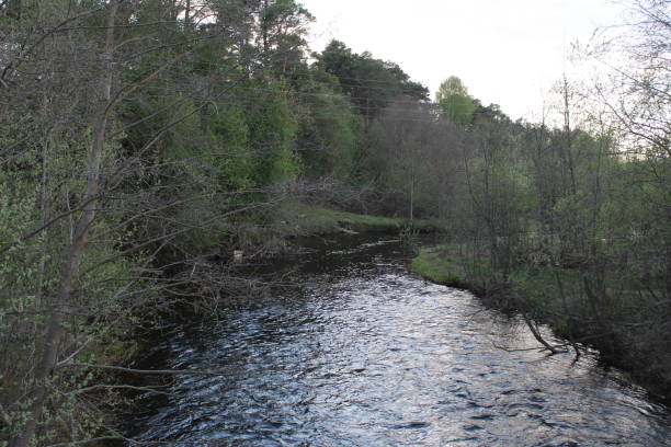 istock river in the woods in the spring 1151272617