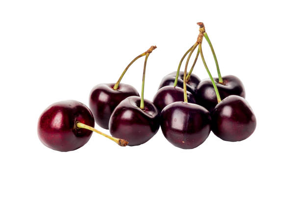 ciliegia scura isolata su sfondo bianco - black cherries foto e immagini stock