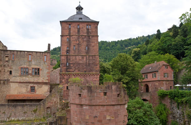 istock Panoramic view of Heidelberg 1151273784