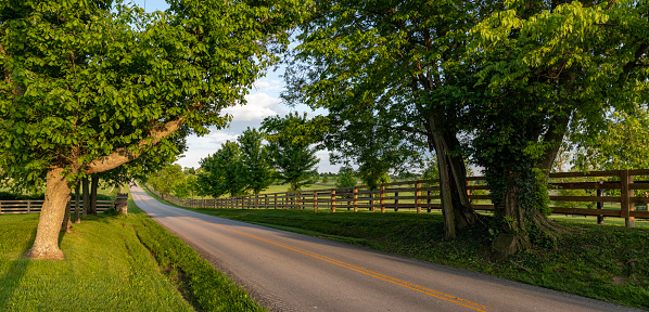 Web banner of a scenic byway in Kentucky's famed bluegrass horse county just out side of Lexington. The scene depicts a tree-lined, two-lane road with wooden rail fences on either side.