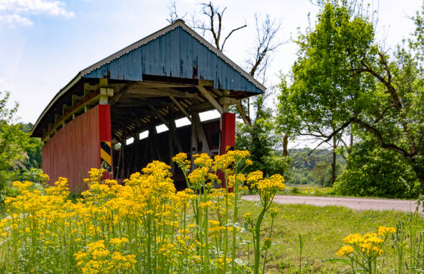 istock Yellow wildflowers in front of covered bridge 1151275422