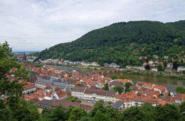 istock Panoramic view of Heidelberg 1151275503