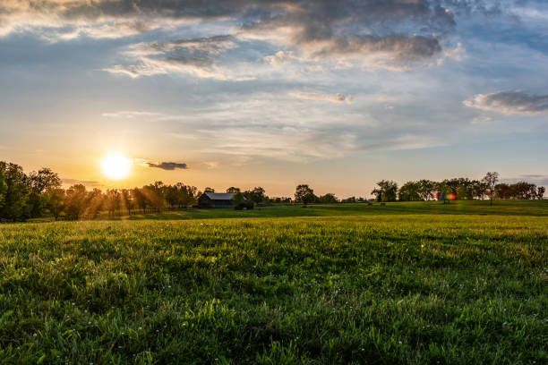 paesaggio dell'allevamento di cavalli del kentucky - scena rurale foto e immagini stock