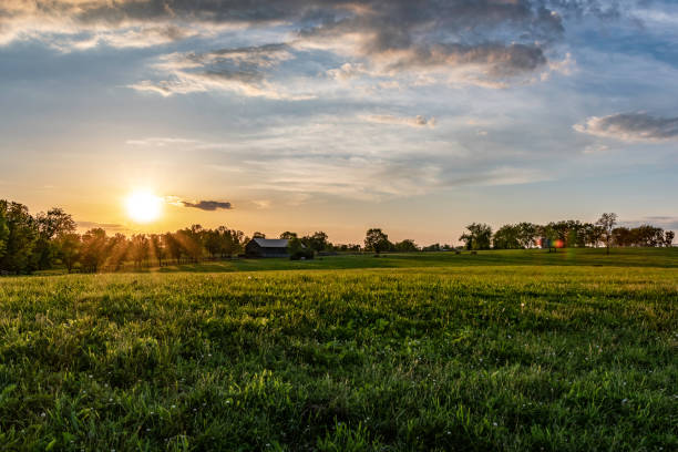 Kentucky horse farm landscape Kentucky horse farm at sunset on a spring evening. Barn and horses grazing at the far end of the bluegrass pasture lit with golden hour sunlight. equestrian event photos stock pictures, royalty-free photos & images