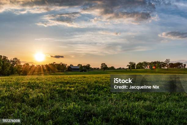 Kentucky Horse Farm Landscape Stock Photo - Download Image Now - Farm, Rural Scene, Agricultural Field