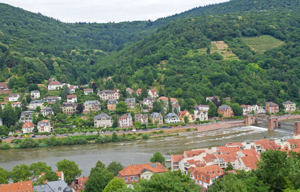 istock Panoramic view of Heidelberg 1151277295