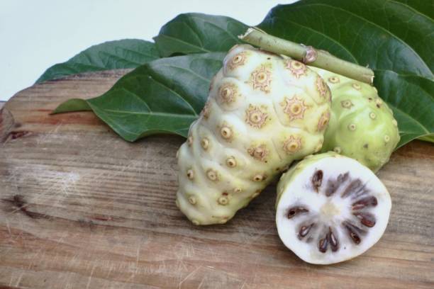 istock noni fruit or Morinda Citrifolia 1151277631