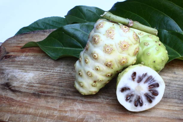istock noni or Morinda Citrifolia isolated on white background 1151277933
