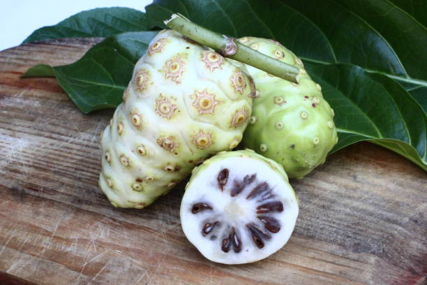 istock noni or Morinda Citrifolia isolated on white background 1151277940