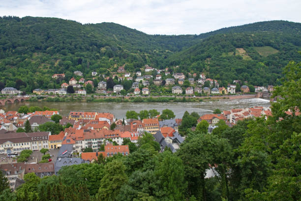 istock Panoramic view of Heidelberg 1151278528