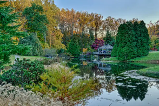 A sunset scene around the Japanese garden area of Brookside Gardens during the fall.