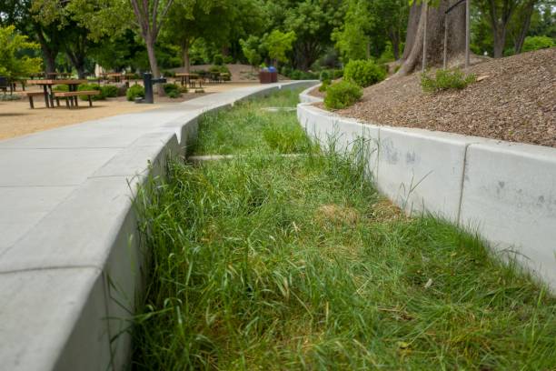 Bioswale Grass grows in a bioswale or rain garden for catching stormwater runoff, May 14, 2019 erosion control stock pictures, royalty-free photos & images