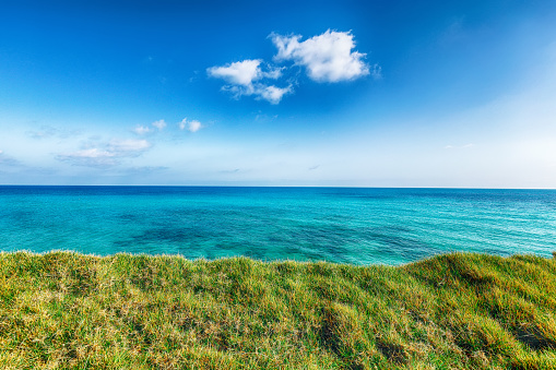 Picturesque seascape with green meadow near Torre Sant Andrea, Salento coast, Puglia region, Italy