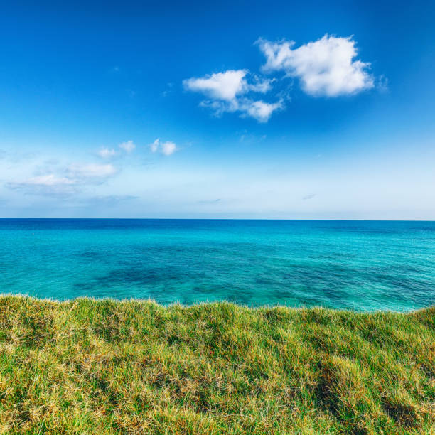 istock near Torre Sant Andrea, Salento coast 1151284949