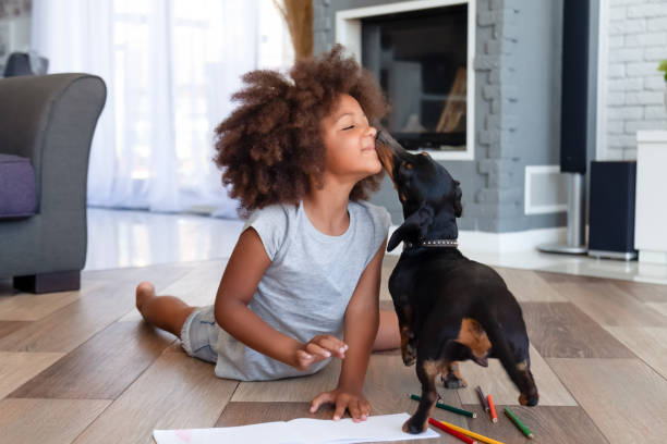 Cute little girl lying on floor playing with dog Funny little African American girl lying on floor coloring picture having fun with dog, family pet kissing playing with small child painting at home, kid laugh entertaining with domestic animal young animal photos stock pictures, royalty-free photos & images