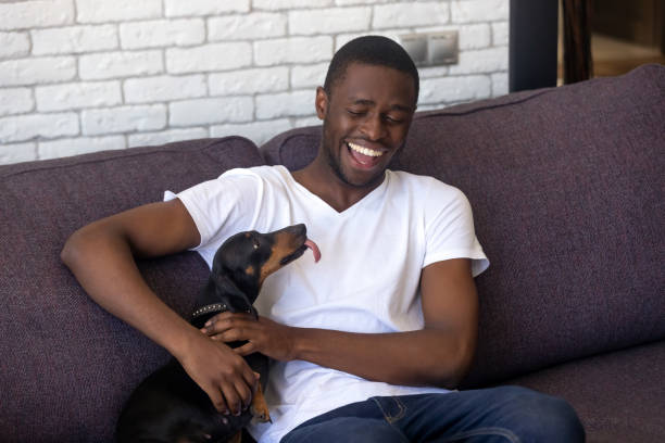 istock Smiling black guy relax on sofa playing with dackel dog 1151287206